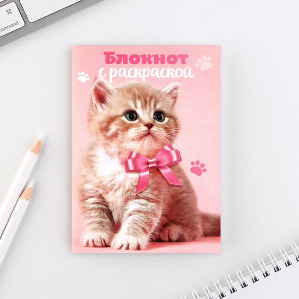 Изображение товара Набор канцелярский подарочный ArtFox 8 марта: Котенок / 10000712