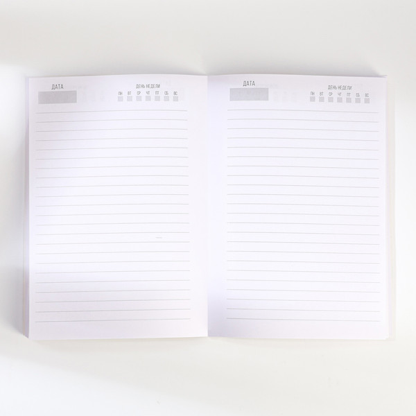 Изображение товара Набор канцелярский подарочный ArtFox С 23 февраля / 9878471