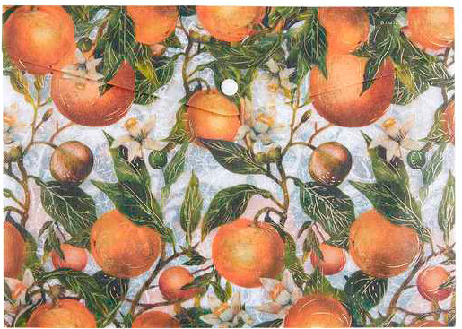 Изображение товара Папка-конверт Bruno Visconti Flora. Oranges / 14-036/20
