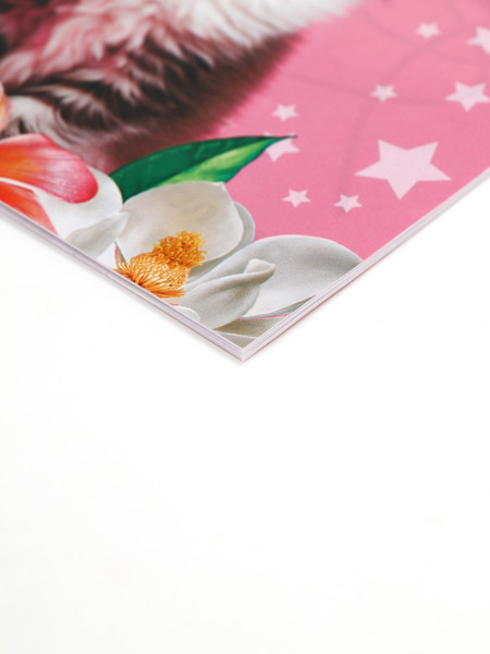 Изображение товара Набор канцелярский подарочный ArtFox Милый котенок 9891769