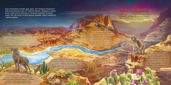 Изображение товара Энциклопедия CLEVER Удивительные животные. Что скрывает природа? (Принц Й. 9785002522002)