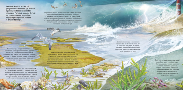 Изображение товара Энциклопедия CLEVER Удивительные животные. Что скрывает природа? (Принц Й. 9785002522002)