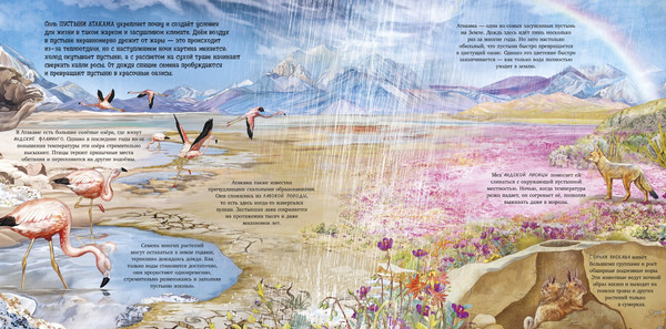 Изображение товара Энциклопедия CLEVER Удивительные животные. Что скрывает природа? (Принц Й. 9785002522002)