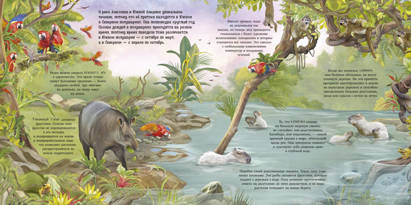 Изображение товара Энциклопедия CLEVER Удивительные животные. Что скрывает природа? (Принц Й. 9785002522002)