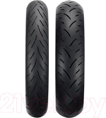 Изображение товара Мотошина задняя Dunlop Sportmax GPR-300 180/55R17 73W TL