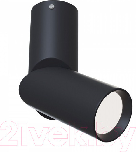 Изображение товара Спот Maytoni Dafne C027CL-L10B