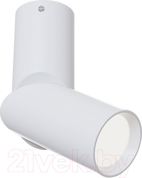 Изображение товара Спот Maytoni Dafne C027CL-L10W