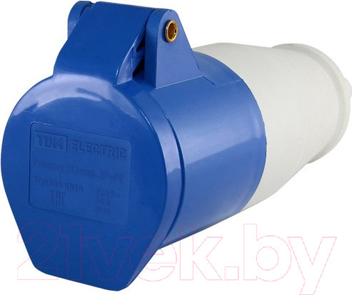 Изображение товара Розетка штепсельная TDM SQ0603-0015