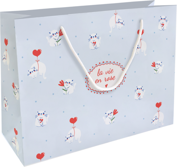 Изображение товара Пакет подарочный Be Smart Love / N5724 (голубой)