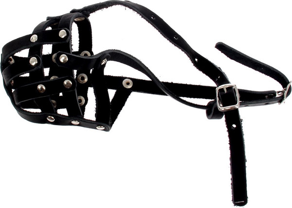 Изображение товара Намордник для собак Sima-Land №1 / 1613476