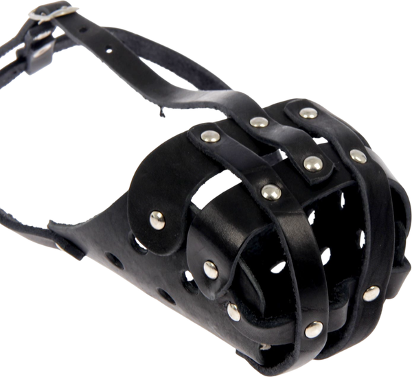 Изображение товара Намордник для собак Sima-Land 1613482 (черный)