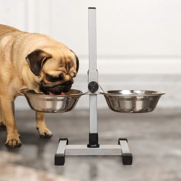 Изображение товара Набор мисок для животных Sima-Land 4815038 (хром)