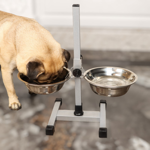 Изображение товара Набор мисок для животных Sima-Land 4815038 (хром)