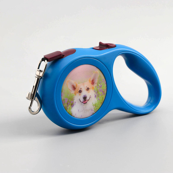 Изображение товара Поводок-рулетка Sima-Land Милашка / 2603406 (синий)