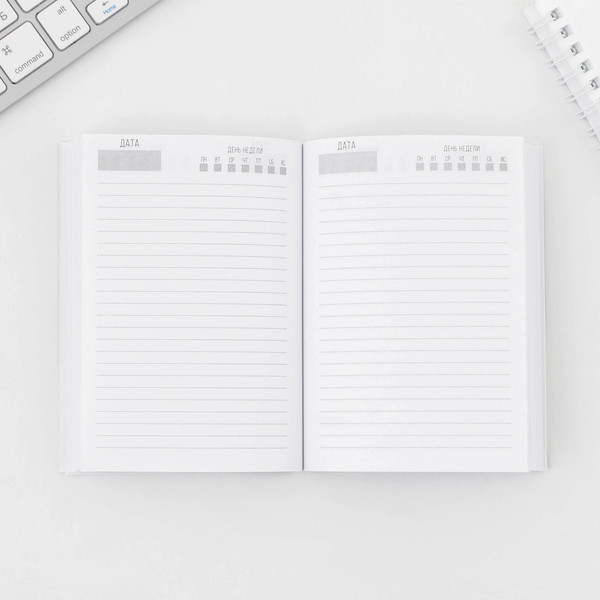 Изображение товара Набор канцелярский подарочный ArtFox Выпускной: Прощай, школа / 9328216