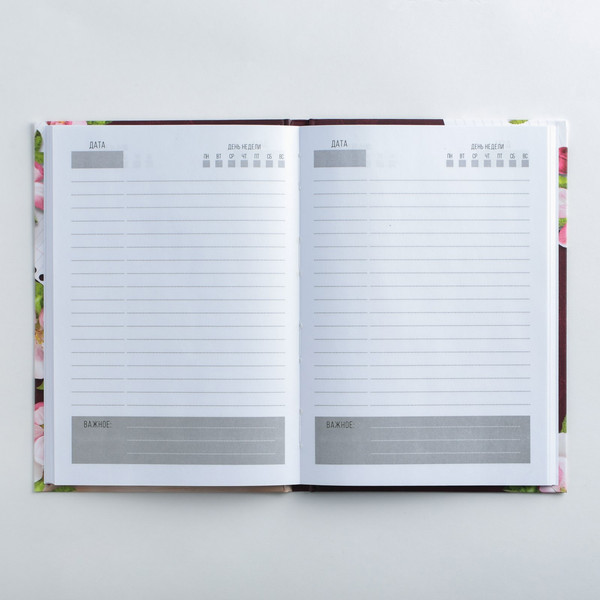 Изображение товара Набор канцелярский подарочный ArtFox Для лучшего учителя / 4193962