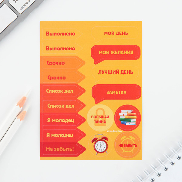 Изображение товара Набор канцелярский подарочный ArtFox Учусь на 5+ / 10069335