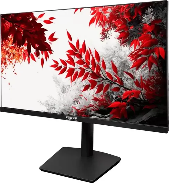Изображение товара Монитор RDW Computers RDW3207 (черный)