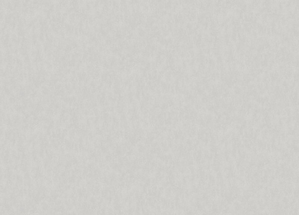 Изображение товара Виниловые обои WallUp W190023