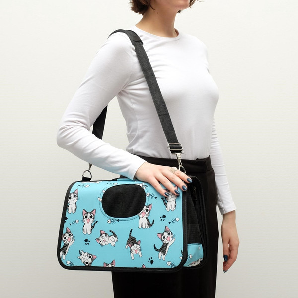 Изображение товара Сумка для животных Sima-Land Играющие котики / 4777614 (р.S, голубой)