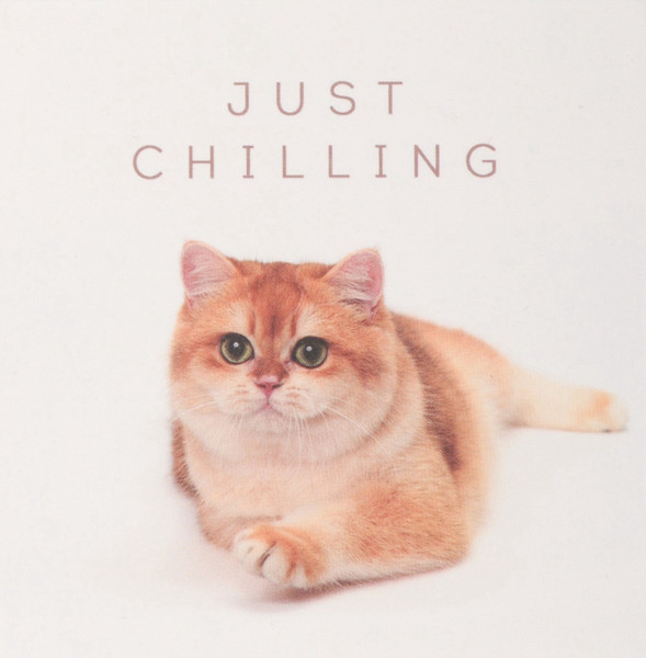 Изображение товара Подарочный набор Kaftan Киса 9945823