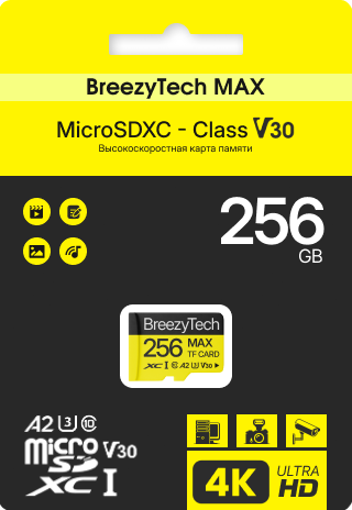 Изображение товара Карта памяти BreezyTech Max MicroSD 256GB Class 10 (без адаптера)