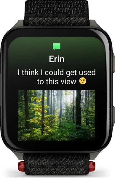 Изображение товара Умные часы Garmin Venu X1 / 010-02980-02 (титановый/черный)