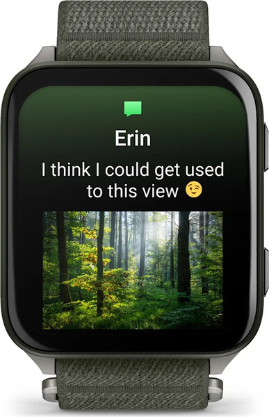 Изображение товара Умные часы Garmin Venu X1 / 010-02980-03 (титановый/зеленый)