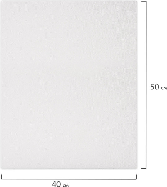 Изображение товара Набор холстов для рисования Brauberg Art Basic / 192673 (2шт)