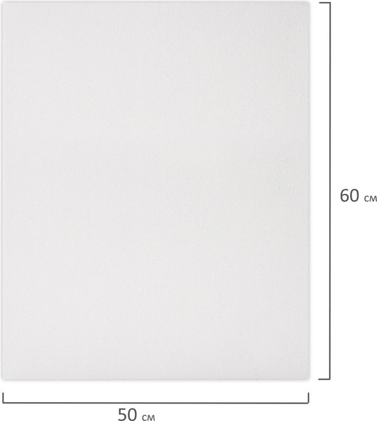 Изображение товара Набор холстов для рисования Brauberg Art Basic / 192674 (2шт)