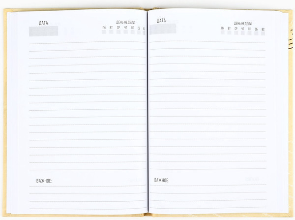 Изображение товара Набор канцелярский подарочный ArtFox 23 февраля / 10001356