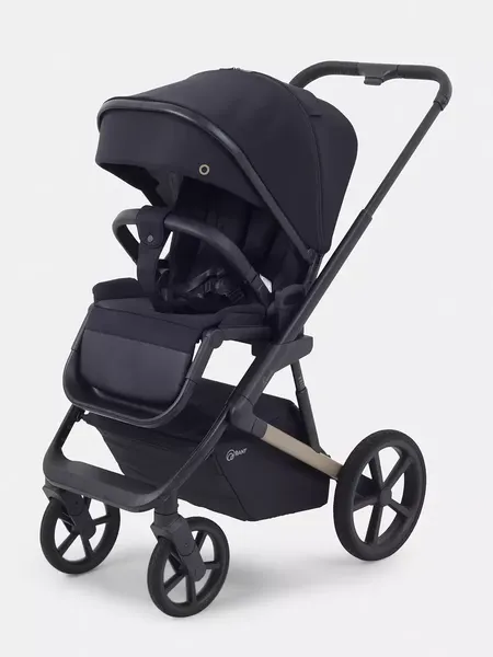 Изображение товара Детская универсальная коляска Rant Garda 2 в 1 / RA114 (Black)