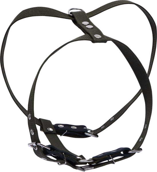 Изображение товара Шлея Sima-Land Прогулочная 9938430