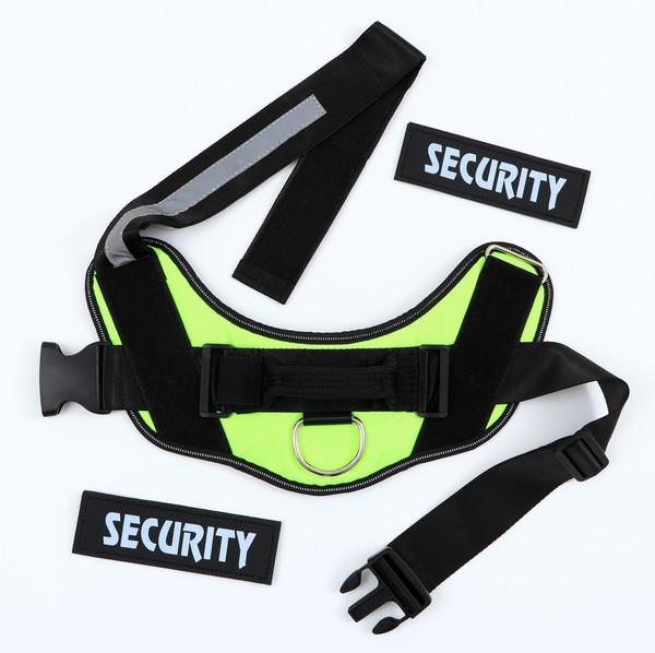 Изображение товара Шлея Sima-Land К9 Светоотражающая / 7626845 (р.L, зеленый)