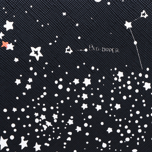 Изображение товара Сумка для животных Sima-Land Звездное небо / 10093125 (р.S, черный)