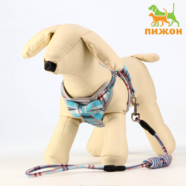 Изображение товара Шлея с поводком Sima-Land 7149021 (серый/голубой)