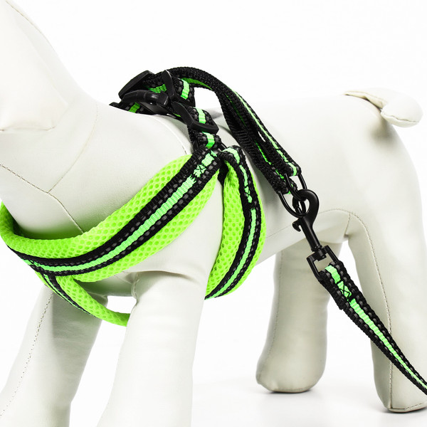 Изображение товара Шлея с поводком Sima-Land Светоотражающий / 7149049 (желтый)