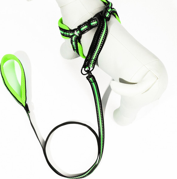 Изображение товара Шлея с поводком Sima-Land Светоотражающий / 7149049 (желтый)