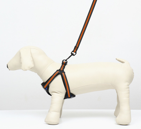 Изображение товара Шлея с поводком Sima-Land Светоотражающий / 9458997 (р.M, оранжевый)