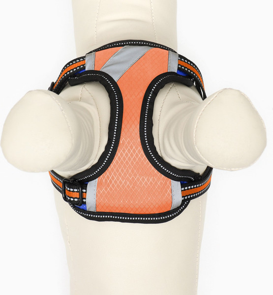 Изображение товара Шлея с поводком Sima-Land Светоотражающий / 9458997 (р.M, оранжевый)