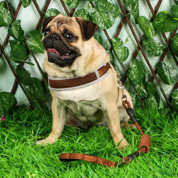 Изображение товара Шлея с поводком Sima-Land 7149012 (р.M, коричневый)