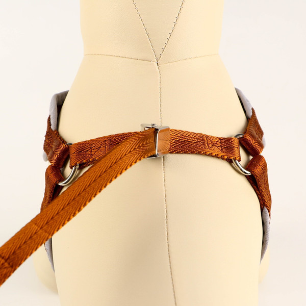 Изображение товара Шлея с поводком Sima-Land 7149012 (р.M, коричневый)