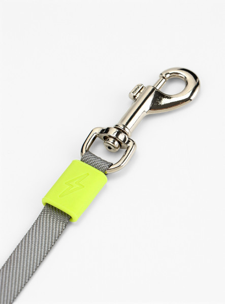 Изображение товара Поводок-рулетка Sima-Land 10895315 (3м, голубой)