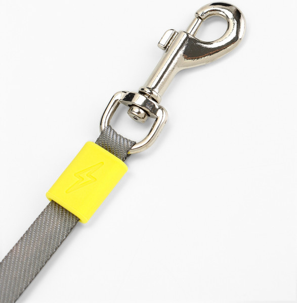 Изображение товара Поводок-рулетка Sima-Land 10895314 (3м, зеленый)