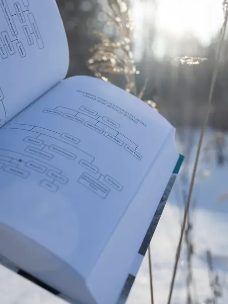 Изображение товара Художественная книга Фантом-пресс Старатели (Джаникян Ариэль 9785864719961)
