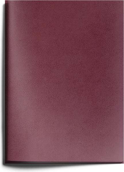 Изображение товара Тетрадь Listoff ТБ4968185 (96л, бордовый)