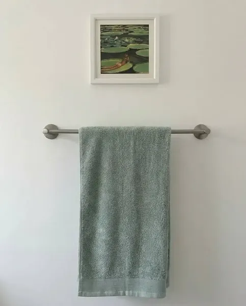 Изображение товара Полотенце Lilia Бордюр Махровое 70x140 470г (зеленый)