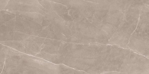 Изображение товара Плитка Керамин Eurotile Kamau Brown Mat (600x300)