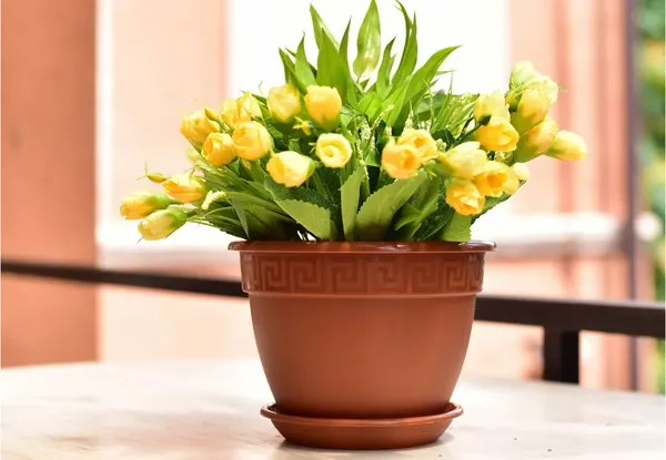 Изображение товара Вазон 5 Plast Антик D25 (4.9л, терракотовый)