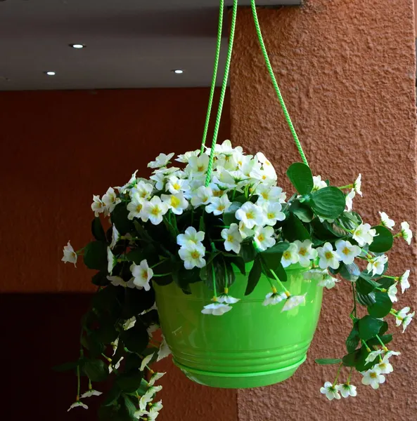 Изображение товара Кашпо 5 Plast Глория подвесной D25 (4.2л, зеленый)